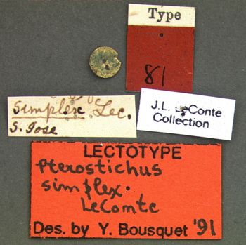 Media type: image;   Entomology 81 Aspect: labels